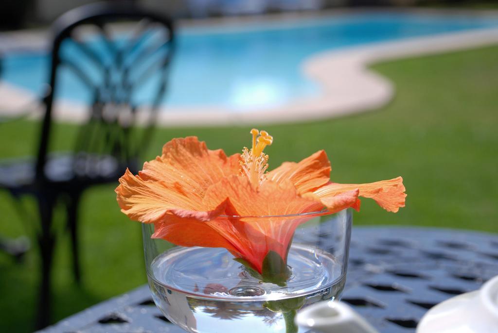 Mandalay Guest House Plettenberg Bay Luaran gambar